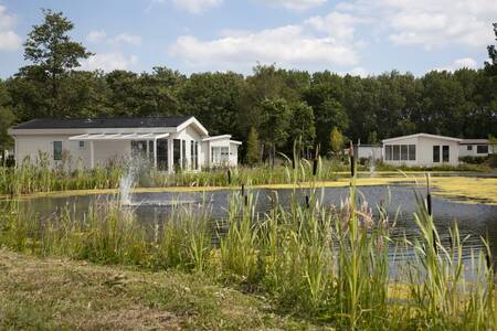 Chalets on the water at holiday park EuroParcs De Biesbosch