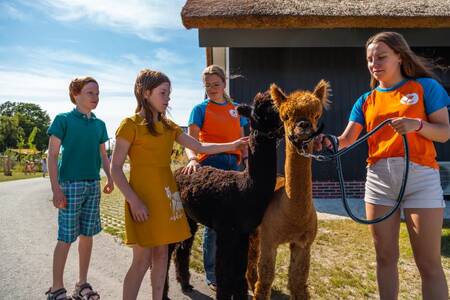 Children with the animation team at holiday park EuroParcs De IJssel Eilanden