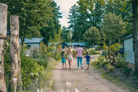 Family walks on a path between chalets at the EuroParcs De Utrechtse Heuvelrug holiday park