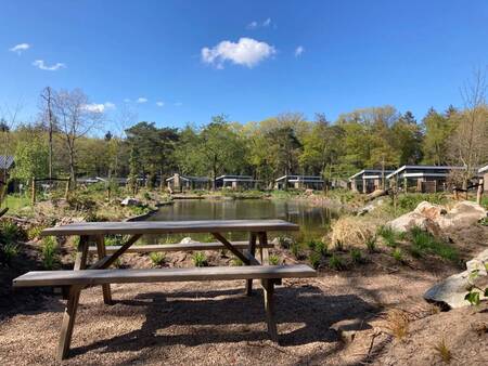 Picnic table at a pond at holiday park EuroParcs De Utrechtse Heuvelrug