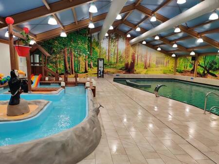 The indoor swimming pool and paddling pool of holiday park EuroParcs De Utrechtse Heuvelrug