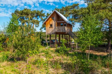 "De Zwerfhut" a kind of tree house on legs at holiday park EuroParcs De Wije Werelt