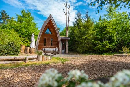 Chalet type "Van Gogh" at holiday park EuroParcs De Wije Werelt