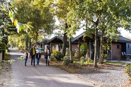 The family walks along an avenue past holiday homes at the EuroParcs De Wije Werelt holiday park