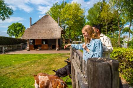 Couple at the children's farm of holiday park EuroParcs De Wije Werelt