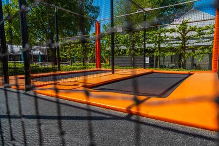 Trampolines at holiday park EuroParcs De Wije Werelt