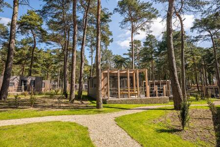 Detached chalets at the EuroParcs Hoge Kempen holiday park