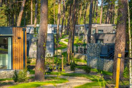 Detached holiday homes in the woods at the EuroParcs Hoge Kempen holiday park