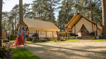 Couple walks for Lodges type "Papendaal lodge 4" at holiday park EuroParcs Hoge Kempen