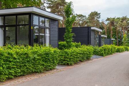 Modern detached chalets at the EuroParcs Maasduinen holiday park