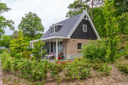 Detached holiday home with roof at holiday park EuroParcs Maasduinen