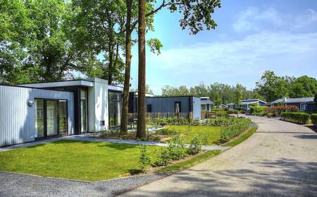 Holiday homes along an avenue at the EuroParcs Maasduinen holiday park