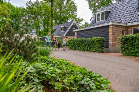 The family walks in front of detached holiday homes at the EuroParcs Maasduinen holiday park