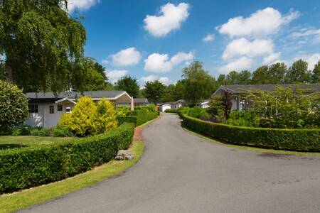 Chalets on an avenue at the EuroParcs Molengroet holiday park