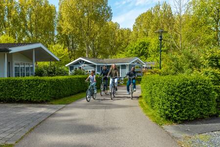 The family cycles along a lane between holiday homes at the EuroParcs Molengroet holiday park