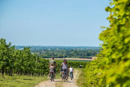 A family cycles through the hills of South Limburg near EuroParcs Poort van Maastricht holiday park