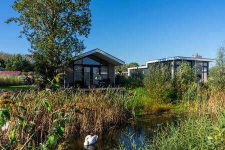 Two holiday homes at the EuroParcs Poort van Zeeland holiday park