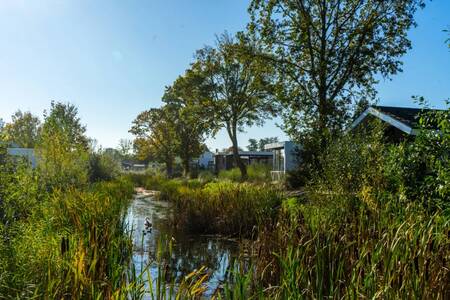 Holiday homes on a ditch between greenery at the EuroParcs Poort van Zeeland holiday park