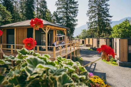 Holiday homes on an avenue at the EuroParcs Pressegger See holiday park