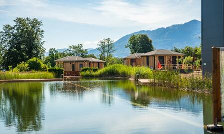 Holiday homes around the swimming pond at holiday park EuroParcs Rosental