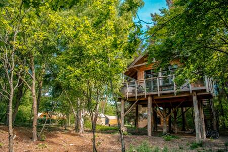 Holiday park EuroParcs Ruinen has a tree house suitable for 6 people