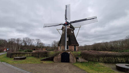 The mill right next to the EuroParcs Ruinen holiday park