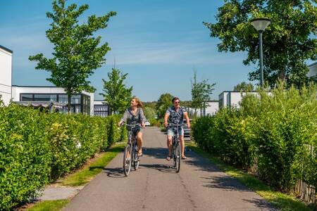 A couple cycles between holiday homes at the EuroParcs Schoneveld holiday park