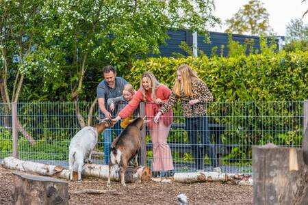 Family with kids at the petting zoo at the EuroParcs Spaarnwoude holiday park