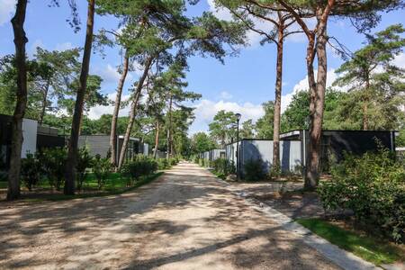 Holiday homes on a lane at the EuroParcs de Zanding holiday park