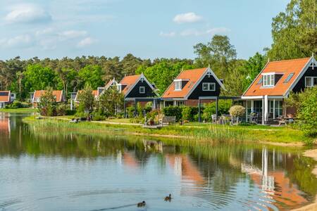 Detached holiday homes on the lake at the EuroParcs de Zanding holiday park