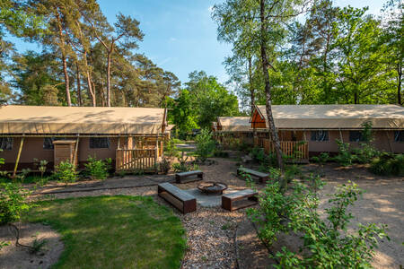 Safari tents in a cozy lane at the EuroParcs de Zanding holiday park