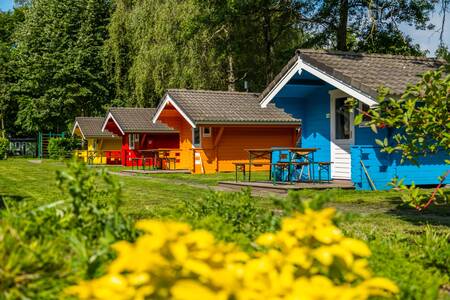 Colorful chalets of the "Cabin" type at the Europarcs Het Amsterdamse Bos holiday park