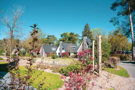 Detached holiday homes at the Europarcs de Achterhoek holiday park