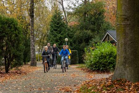 A family cycles between the holiday homes at Bungalow Park Het Verscholen Dorp