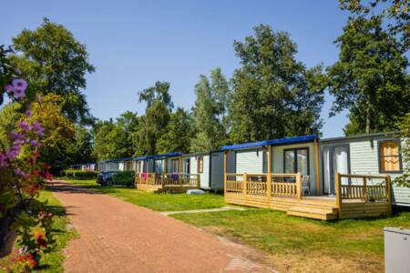 Lodges on a lane at the Bergumermeer holiday park