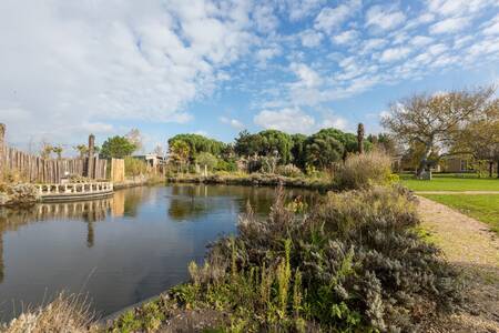 Pond in the former subtropical garden at the Fort den Haak holiday park