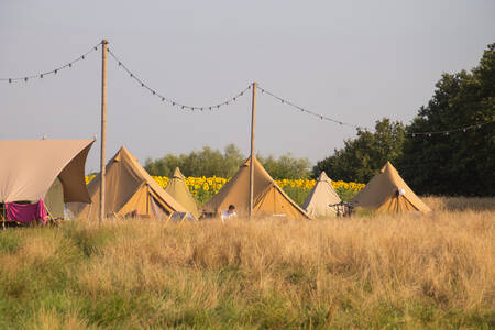 Happy in the meadow tent with private sanitary facilities at holiday park Mölke