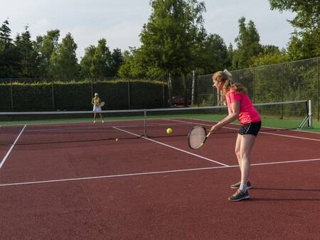 Play tennis on the tennis court of holiday park Landal Aelderholt