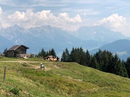 Landal Alpen Resort Maria Alm is located in the beautiful Alps of Austria