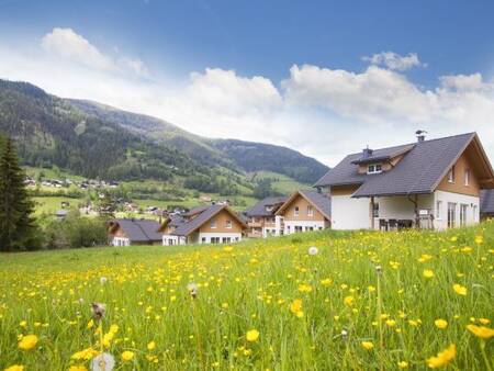 Apartments in the Austrian holiday park Landal Bad Kleinkirchheim