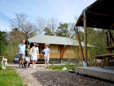 Family walks between the safari tents at the Landal Glamping Neufchâteau holiday park