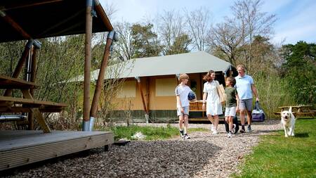 Family with dog walks between the safari tents at the Landal Glamping Neufchâteau holiday park