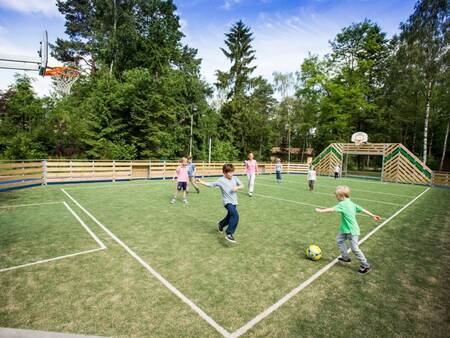 Have fun on the multifunctional sports field of holiday park Landal Heideheuvel