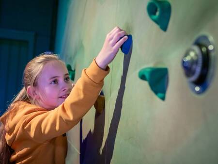 Climbing the climbing wall at Landal Het Vennenbos