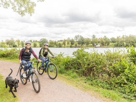 Couple with dog cycling in the vicinity of holiday park Landal Hochwald