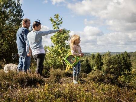 Landal Holiday park Søhøjlandet - Lake Highlands in Denmark