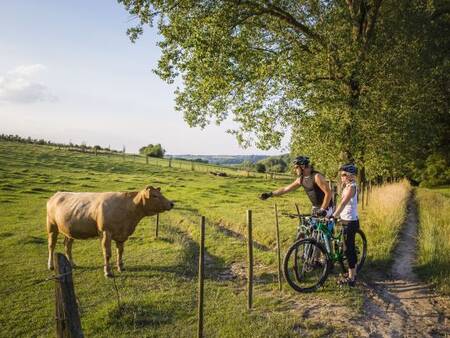 Holiday park Landal Hoog Vaals is located in the rolling hilly landscape of southern Limburg