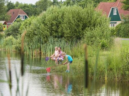 Children play with a net in the water at the Landal Hunerwold State holiday park