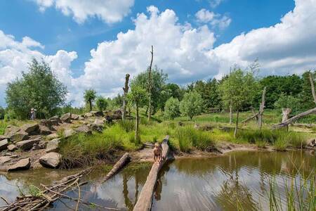 Children play in the nature playground at the Landal Klein Oisterwijk holiday park