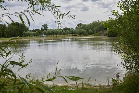 Recreational lake at the Landal Klein Oisterwijk holiday park
